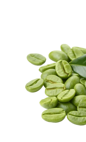 Bryo Appetite Control Coffee