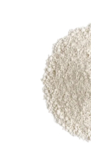 Bryo Appetite Control Coffee